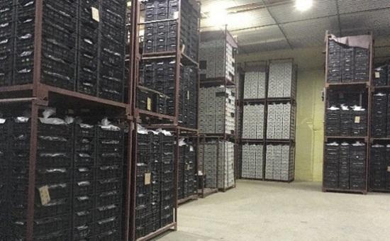 山东农民不种小麦种这个,亩均收入1.5万元,全村