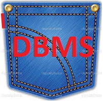 Pocket DBMS Overview