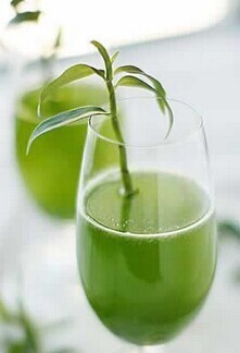 铁皮石斛加蜂蜜怎么吃_360问答