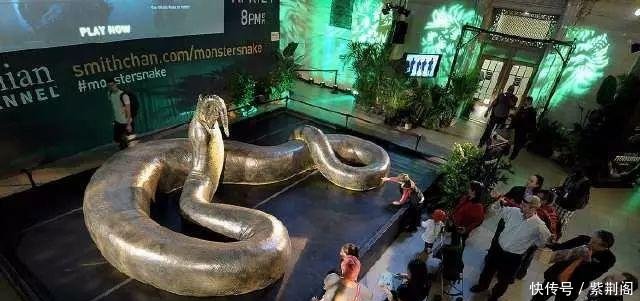 泰坦巨蟒最大有多大 t0147ddd09d5d73b73e.jpg