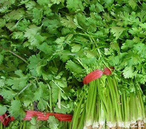 香菜怎么种植家里 t0148668bc723bbba20.jpg