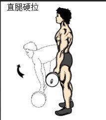 健身中的硬拉是怎么做的?_360问答