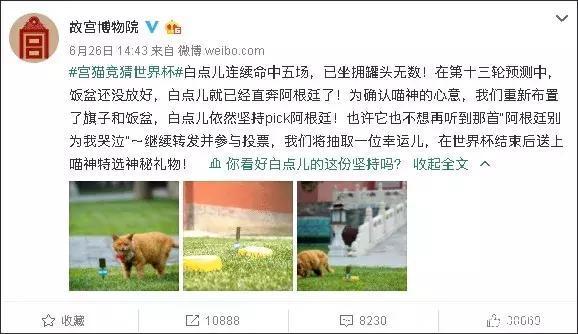 故宫猫预测世界杯火了?别拦我,我要去吸这180