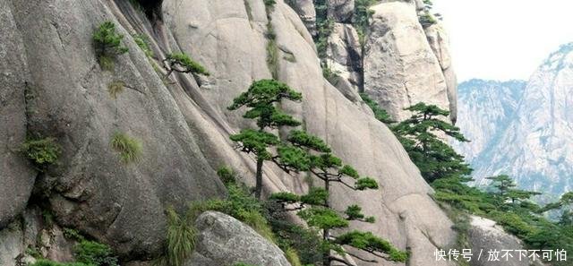 三山五岳中的三山是指哪三座山