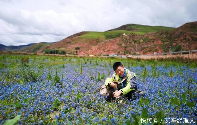 年仅12岁孩子带着父亲骑行去西藏 44天吃住行