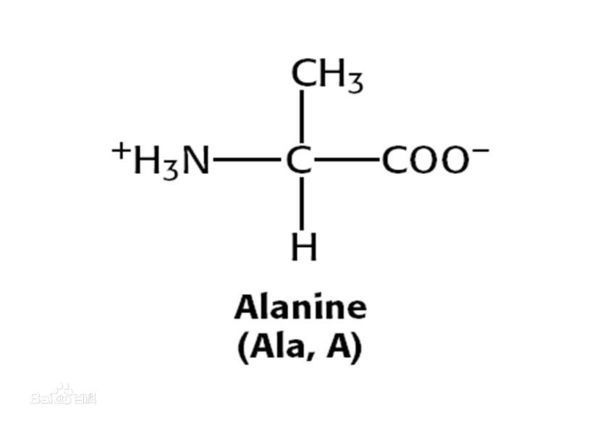 氨基酸残基是什么,不要文字说,画一下图,谢谢!