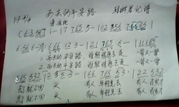 我的手稿(西去平安路)行吗?