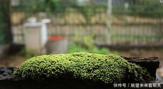 t014bf90baaace6f6f0.jpg