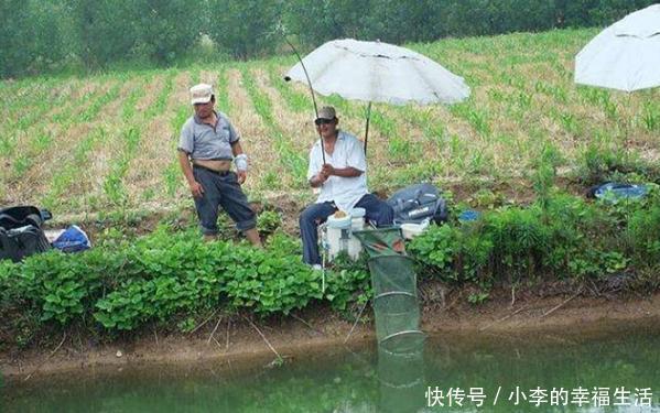 夏天钓鱼有大讲究，唯独这样钓才够狠，别不信，渔获没理由不翻倍