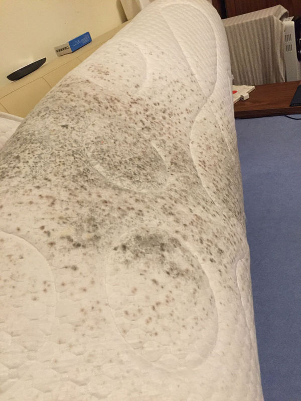 我的床垫发霉了,还有救吗? 是张柜子床,底下是