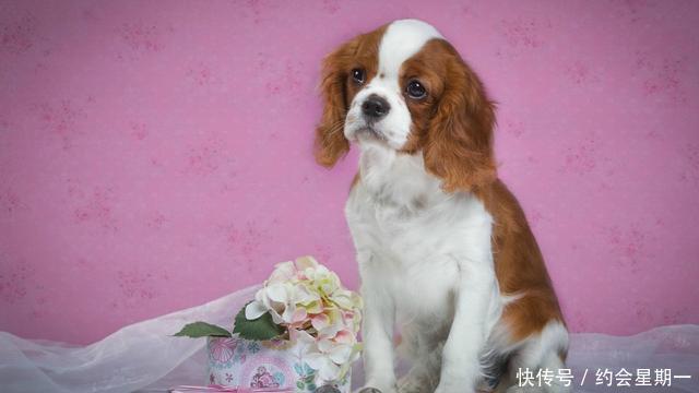 朋友圈的幽默说说，总有一句你会喜欢，值得收藏