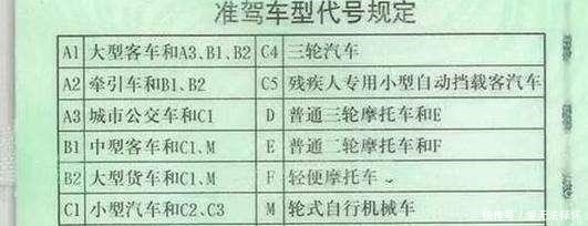d照可以开什么车