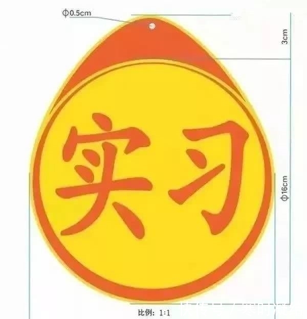 交通法律法规大全