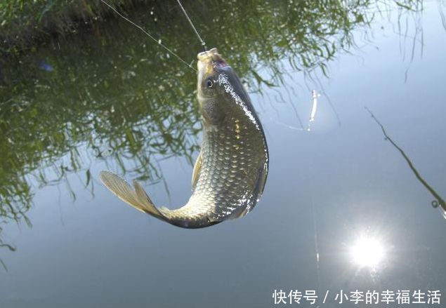 5月钓鱼，掌握这些技巧才更好钓鱼！