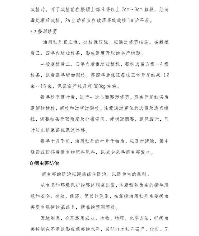 按照这9个条件去建设，才能申报油用牡丹示范项目补贴资金！