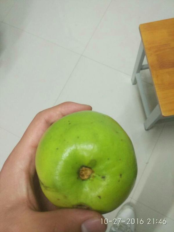 这是什么水果,树上有刺。_360问答