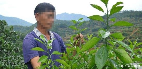 男子娶二婚女整年不着家,男子:刚结婚就花2千多给她治疗妇科病 皇冠国际平台