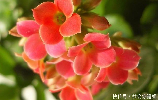 9月初,财运爆红,横财不断,喜事接二连三的3生肖,有你吗 9月初,财运爆红,横财不断,喜事接二连三的3生肖,有你吗