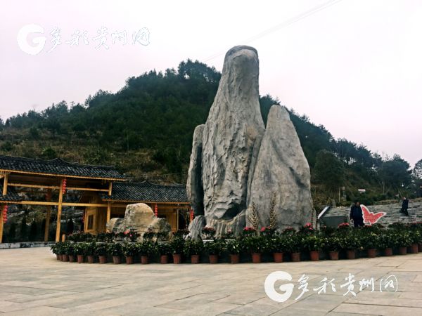 阳春三月!沿河南庄万亩李花吸引着众多游客前来游玩