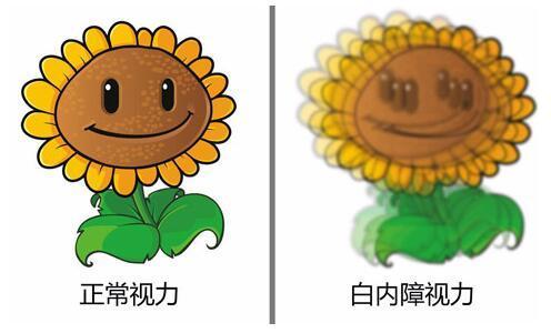 为正常情况; 如果绿底字母更清楚,为老花眼或度数过矫; 如果红底字母