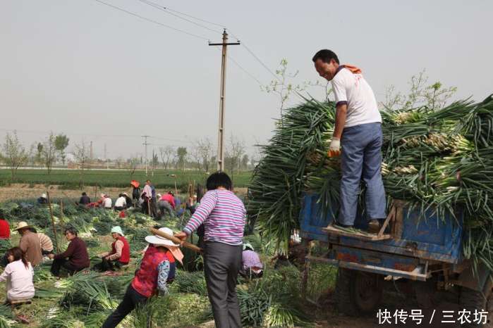 下半年，农村将出现3个危机，前2个每家都绕不开，农民早点考虑！