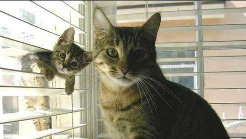 photoshop基础教程-模糊\/锐化\/涂抹工具_360问