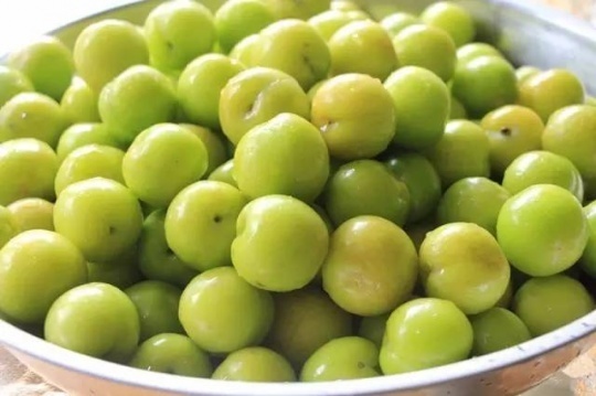 酸甜脆红李子的腌制方法_360问答