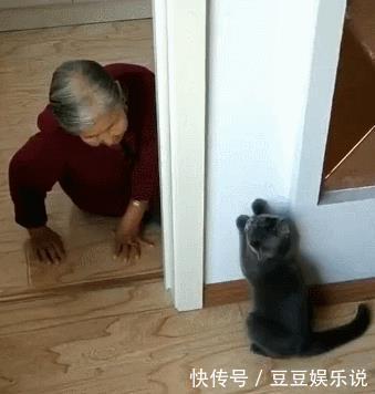 猫咪和奶奶玩游戏,把奶奶逗得合不拢嘴,画面好