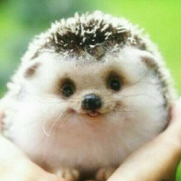 一个男的对一个女的说,算了,我已经对你失去耐