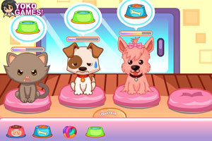 宠物小店,宠物小店小游戏,360小游戏-360游戏