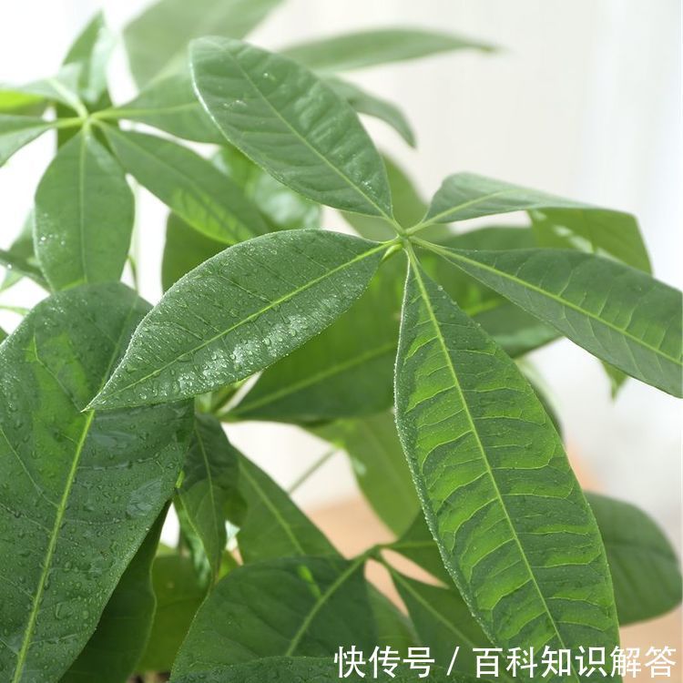 t015b952aecdc2d43bf.jpg