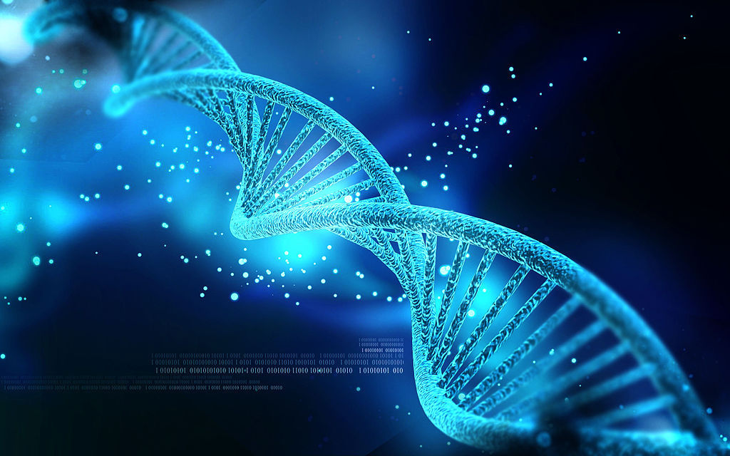 下一个健康话题,可能是为 dna 请个"私人教练"