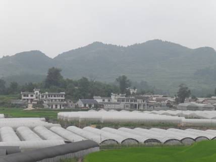 墨冲镇为贵州省黔南布依族苗族自治州都匀市下辖的一个镇,位于都匀市