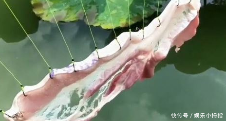 农民把猪肉扔到水里,没过多久猪肉上出现的一