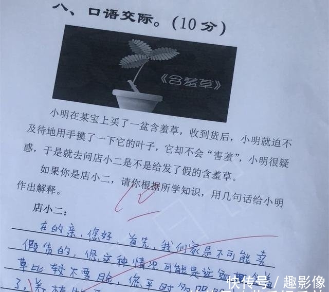 小学生的试卷,笑得你肚子疼,最后一张小学,连飞云试卷中心图片
