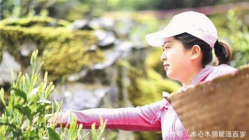 寄洗衣机用什么物流