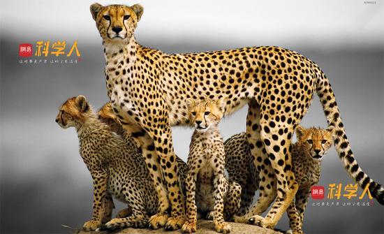 t015d870f4c1d0cef2f.jpg?size=550x335