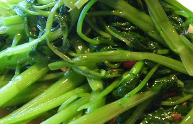 孕妇可以吃空心菜吗?_360问答