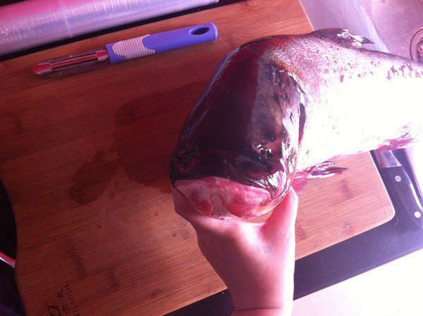 这是什么鱼?鱼鳞很小。怎么吃?_360问答