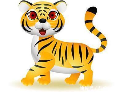 几月出生的属虎人一生命运最好