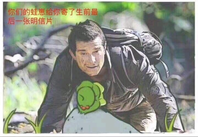 别人的青蛙和你的青蛙区别表