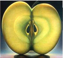 苹果纵切面是什么样的?_360问答