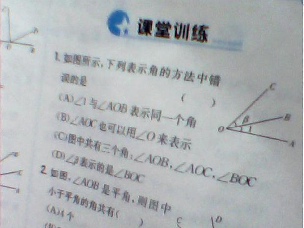 如图所示,下列表示角的方法中错误的是_360问