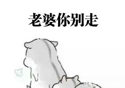 搞笑道歉这样想要的老公表情,一个人默默qq表情包号空间图片