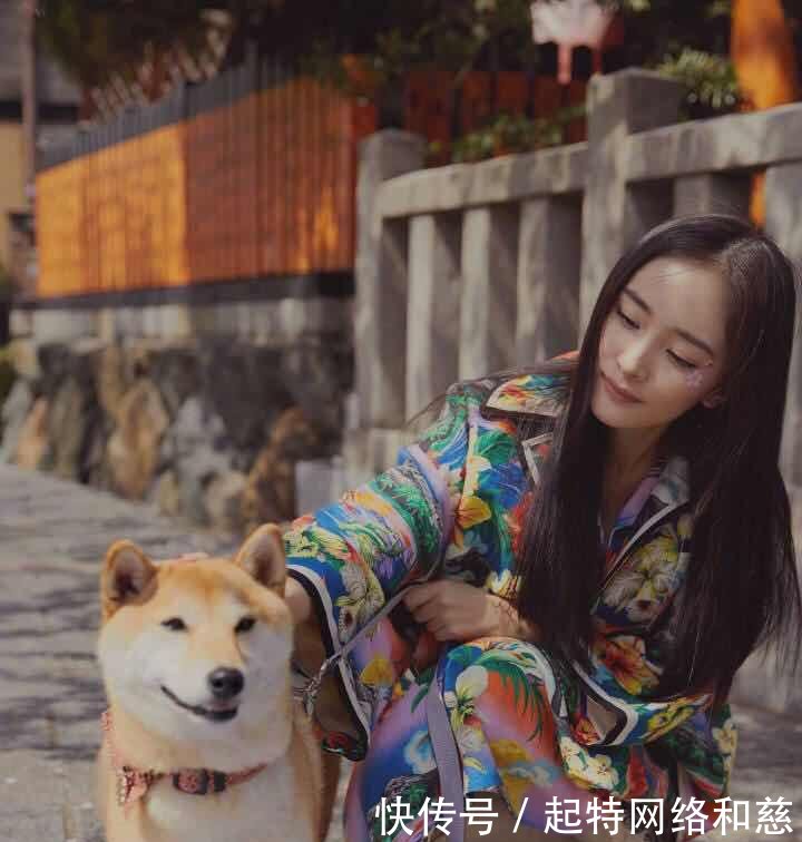 杨幂去日本拍照好像樱花仙子, 可为什么把秋田