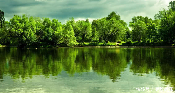 五天之后这三大生肖,贵气逼人,发个不停,钱财大把进账!