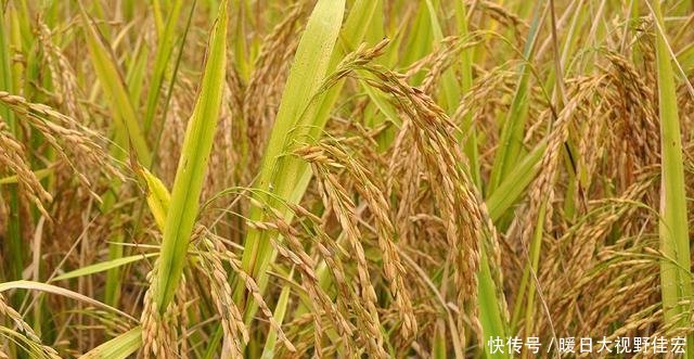 t0162737fb2571cecf7.jpg?size=640x331