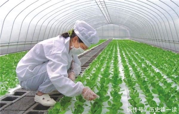 改革开放40年,18张老照片见证惠州农业旧貌
