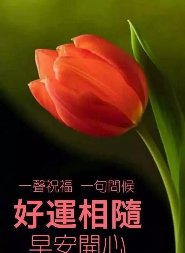 清晨问候早上好祝福动态图带字,温馨的早上好