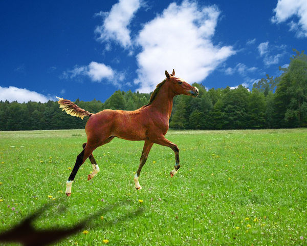 求ps大神解答这样的阴影效果是怎么做出来的
